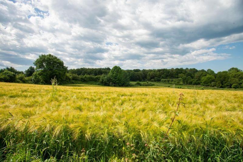 Zuid Limburg *