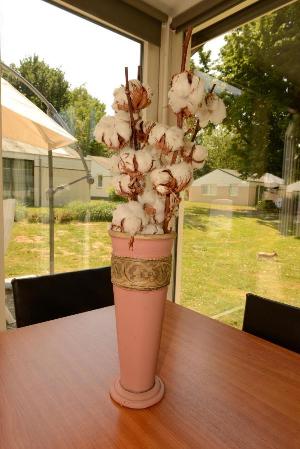 Zuid Limburg Holiday home Simpelveld